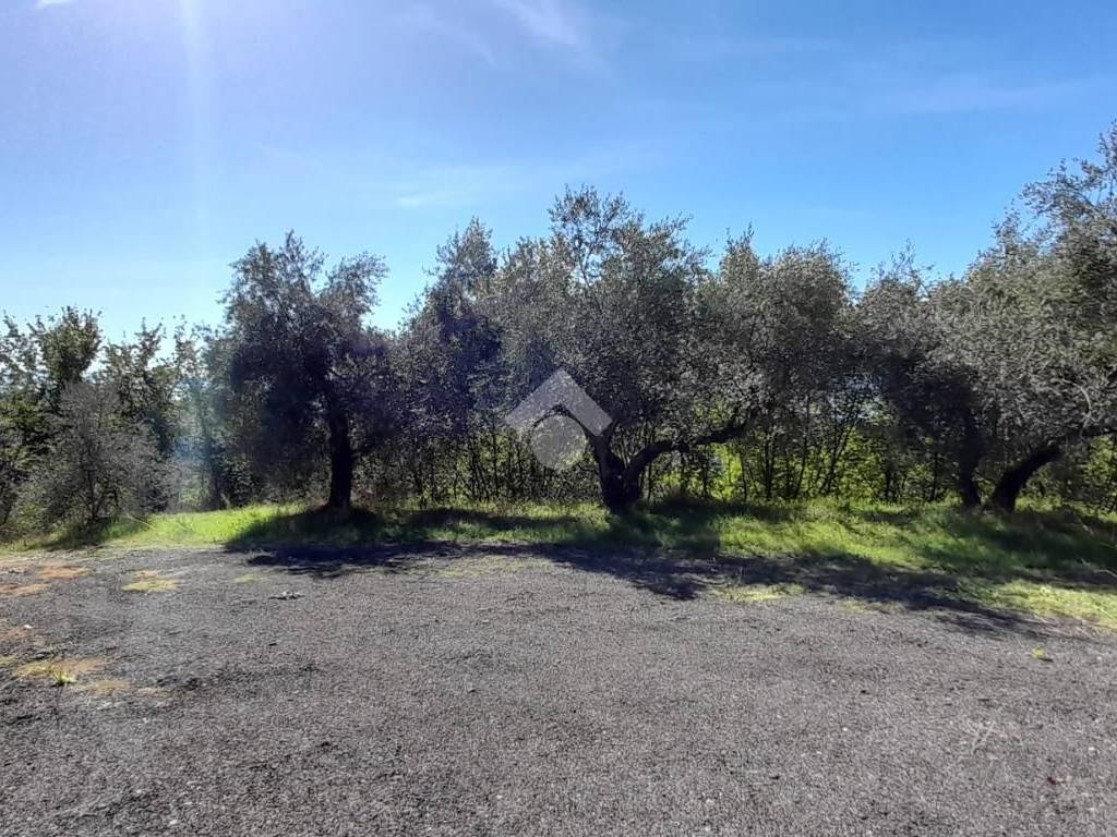Rustico / casale a Alatri in Via monte san marino - Foto 3