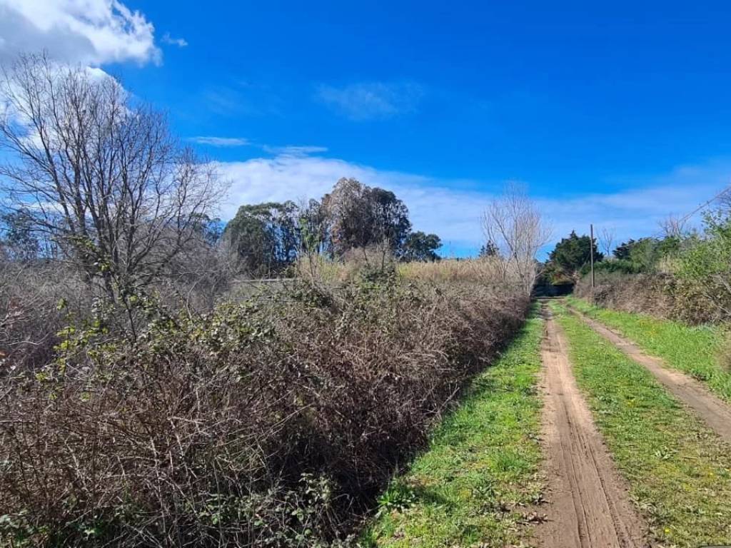 Terreno a Piombino - Foto 2