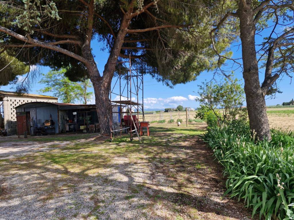 Appartamento a Campiglia marittima in Via degli Affitti - Foto 3