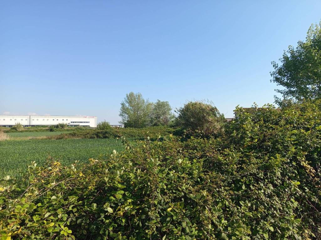 Terreno a Vitulazio in Strada Statale Appia - Foto 2
