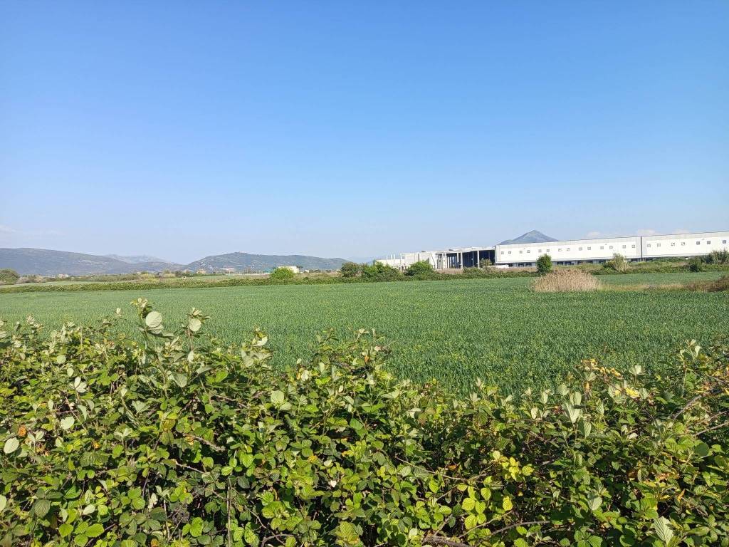 Terreno a Vitulazio in Strada Statale Appia - Foto 3