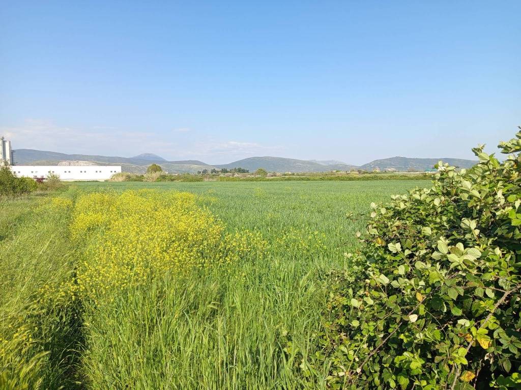 Terreno a Vitulazio in Strada Statale Appia - Foto 4
