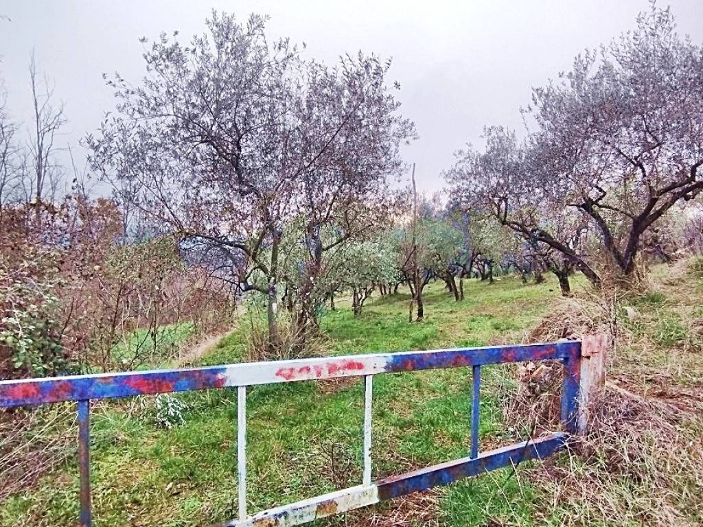 Terreno a Piglio - Foto 2