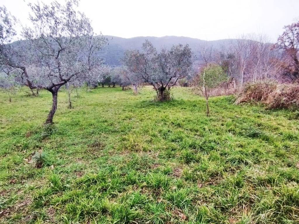 Terreno a Piglio - Foto 3