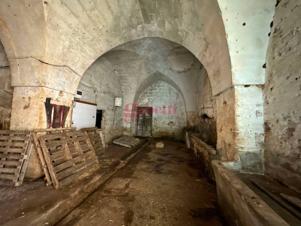 Villa a Campi salentina in Strada Provinciale 101, 1 - Foto 3