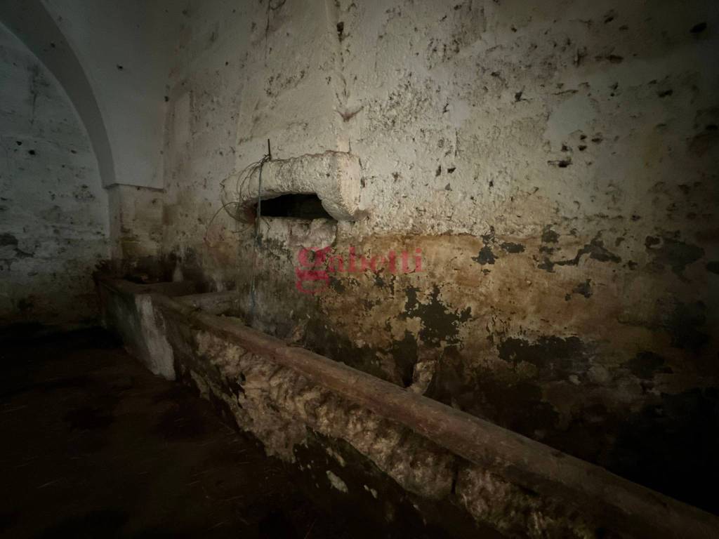 Villa a Campi salentina in Strada Provinciale 101, 1 - Foto 4