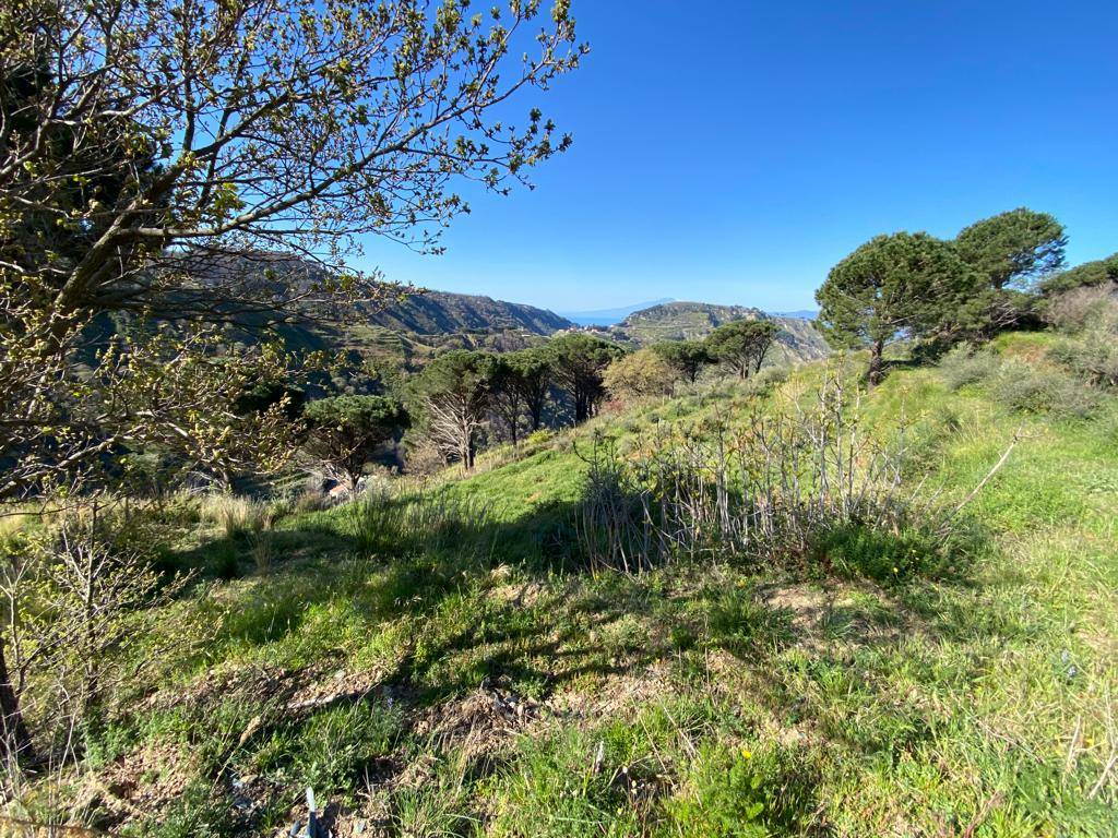 Terreno a Reggio calabria in Via Straorino Ortì - Foto 4