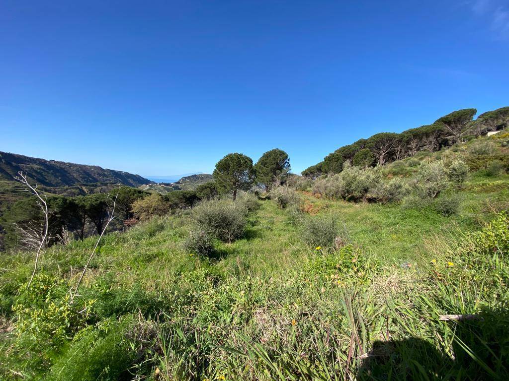 Terreno a Reggio calabria in Via Straorino Ortì - Foto 5