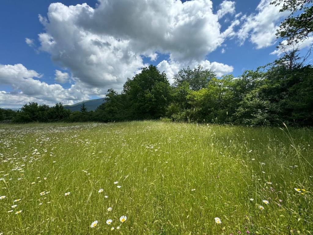 Terreno a Rocca di botte in SP27a - Foto 2