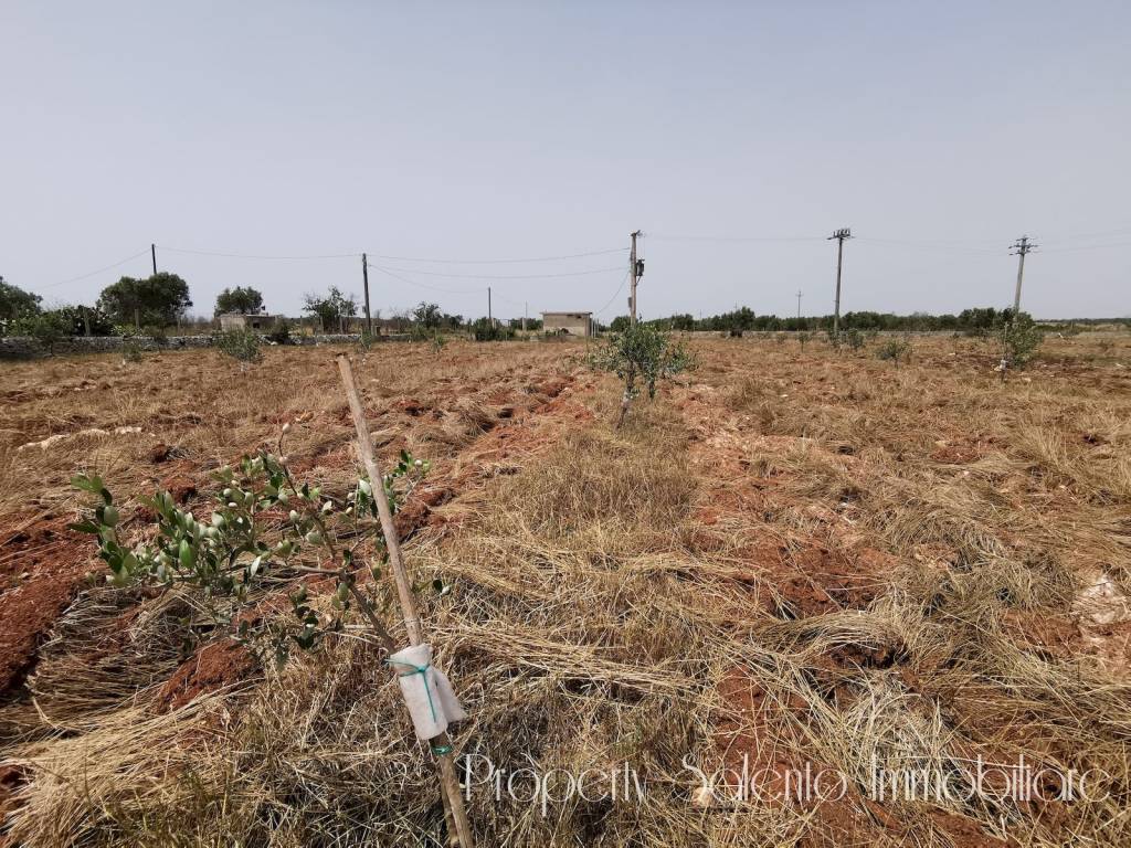 Terreno a Ugento in Via Salve - Foto 2
