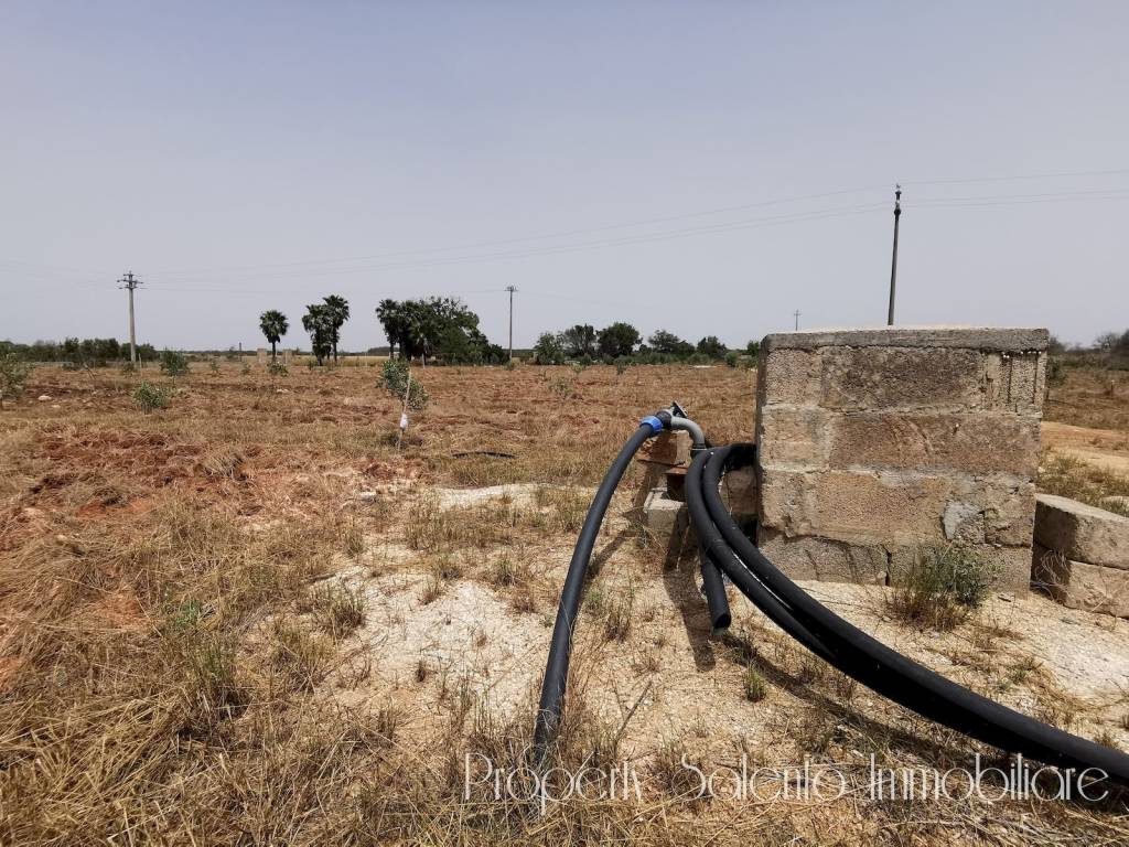 Terreno a Ugento in Via Salve - Foto 3