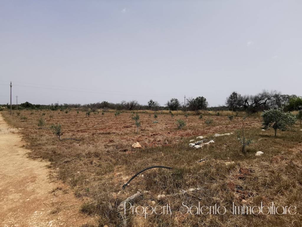 Terreno a Ugento in Via Salve - Foto 5