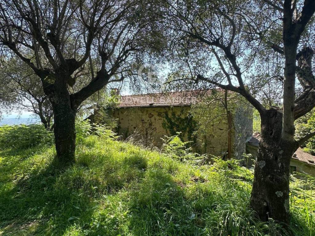 Rustico / casale a Pietrasanta in Via Strinato, 10 - Foto 3