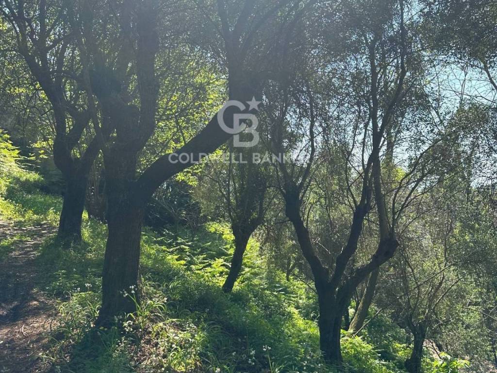 Rustico / casale a Pietrasanta in Via Strinato, 10 - Foto 5