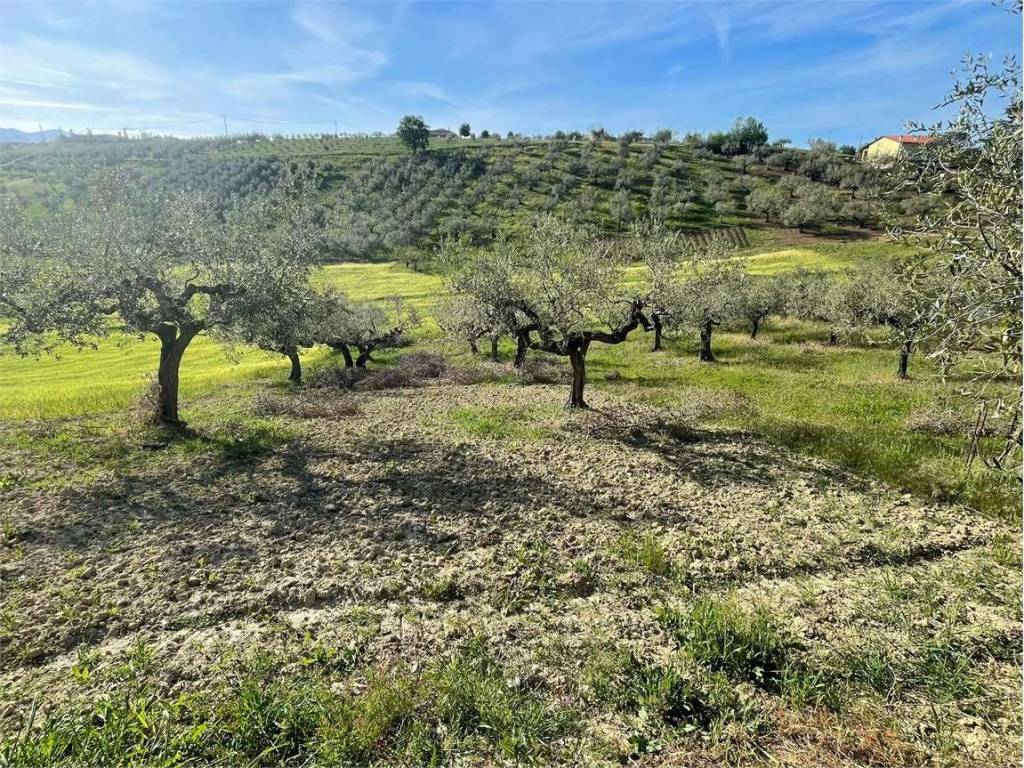 Terreno a Pianella - Foto 2