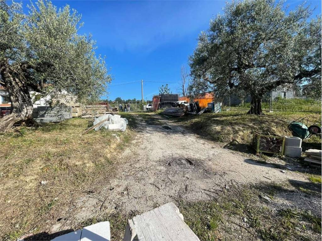 Terreno a Pianella - Foto 3