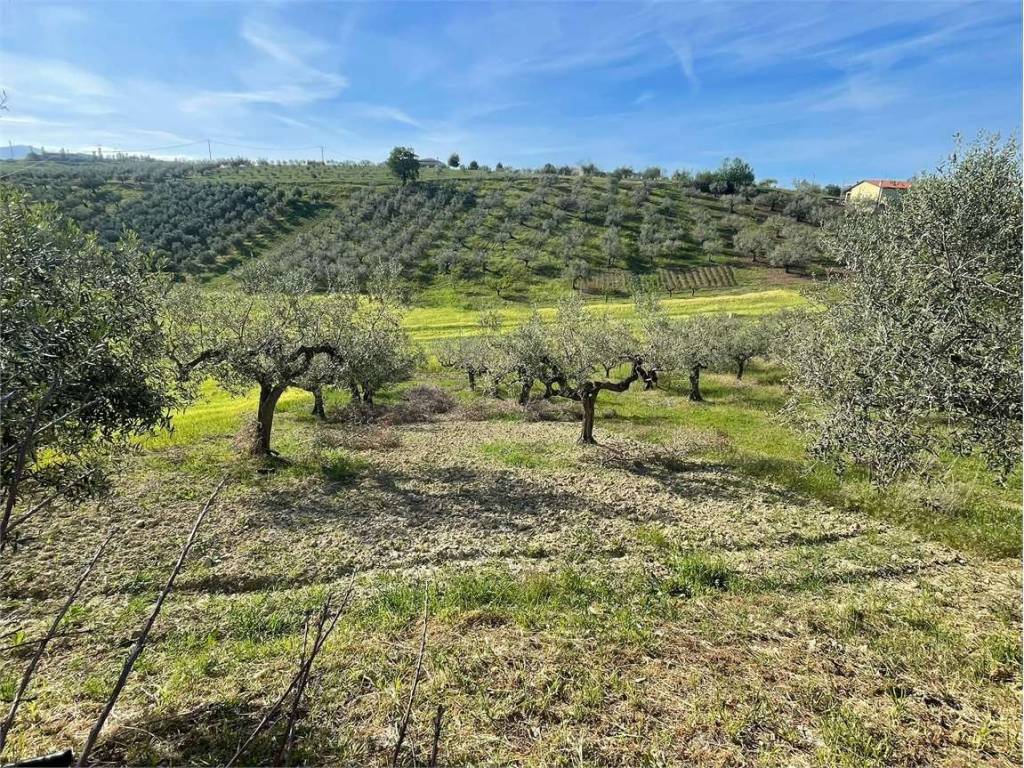 Terreno a Pianella - Foto 4