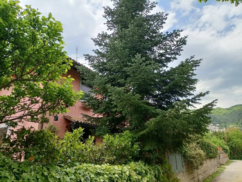 Villa a Rocca di botte in Via Di Valle Stanghetta, 14 - Foto 4
