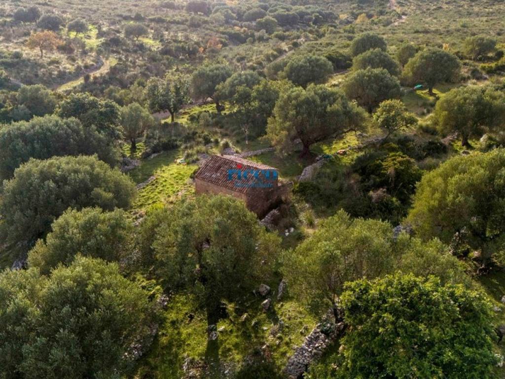 Terreno a Camerota in Via Infreschi - Foto 5