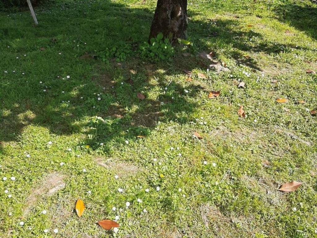 Villa a Noventa padovana in Via San Pio X - Foto 3