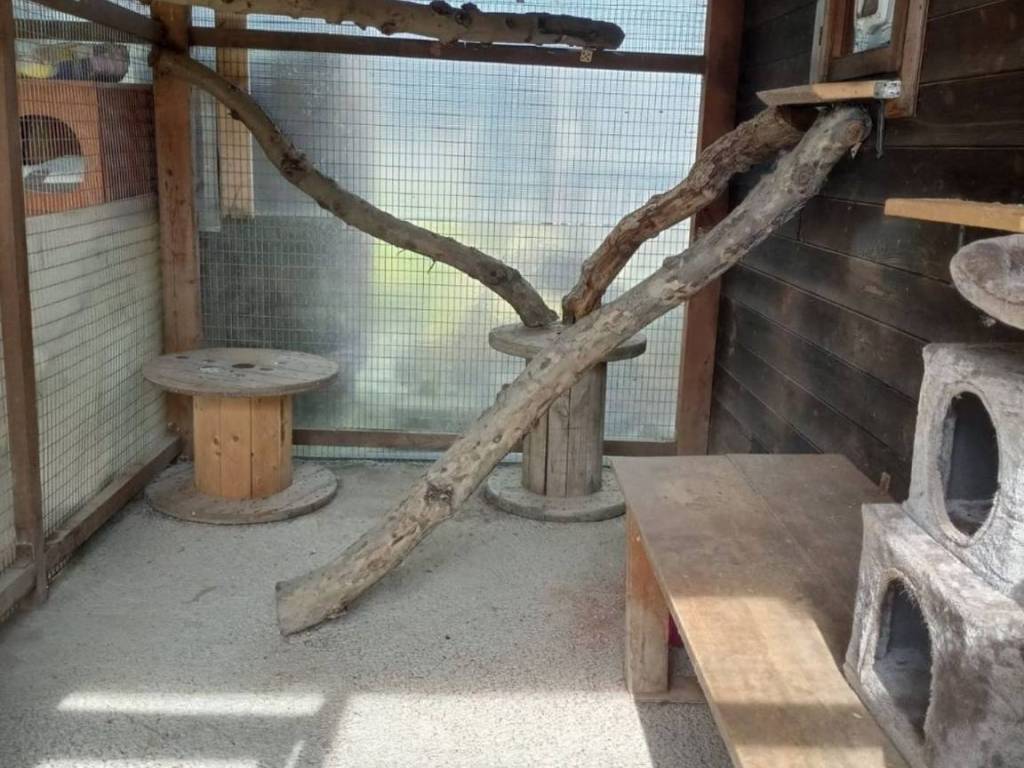 Immobile a Barge in Via Chiappere, 5 - Foto 2