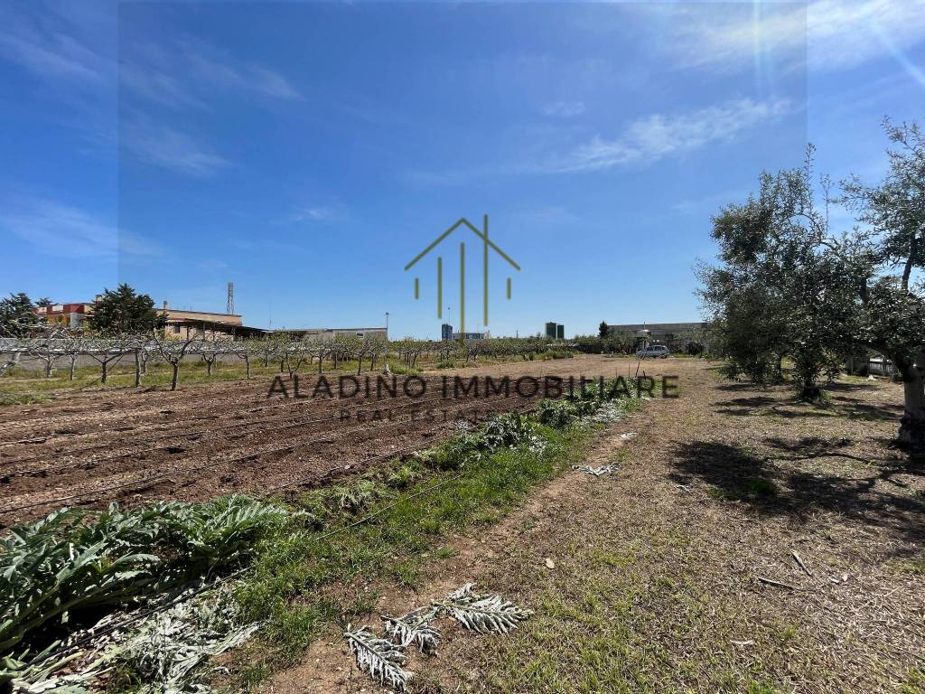 Terreno a Trani in SP130 - Foto 2