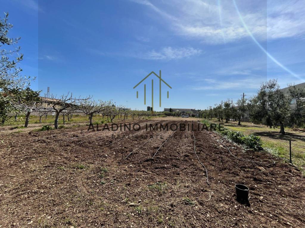 Terreno a Trani in SP130 - Foto 3