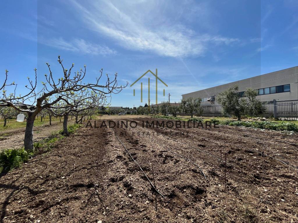 Terreno a Trani in SP130 - Foto 4