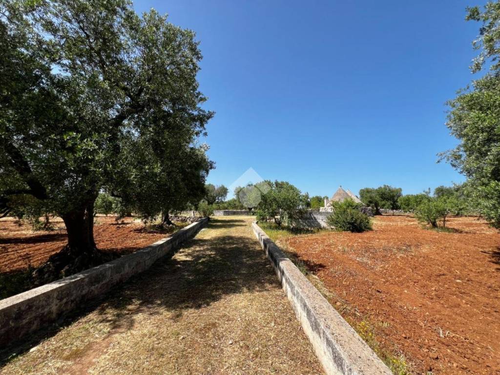 Rustico / casale a Martina franca in Contrada Montefellone - Foto 2