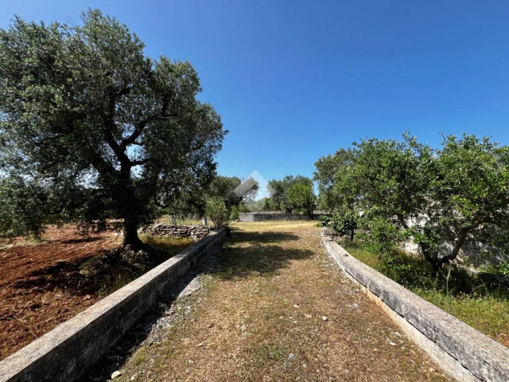 Rustico / casale a Martina franca in Contrada Montefellone - Foto 3