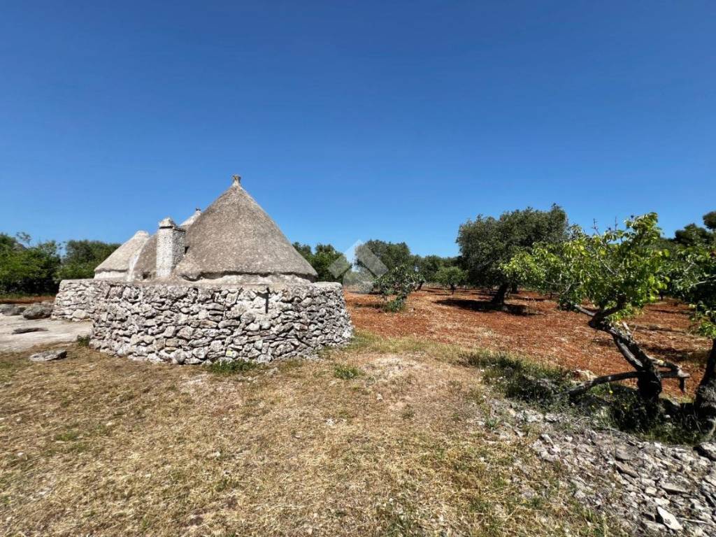 Rustico / casale a Martina franca in Contrada Montefellone - Foto 4