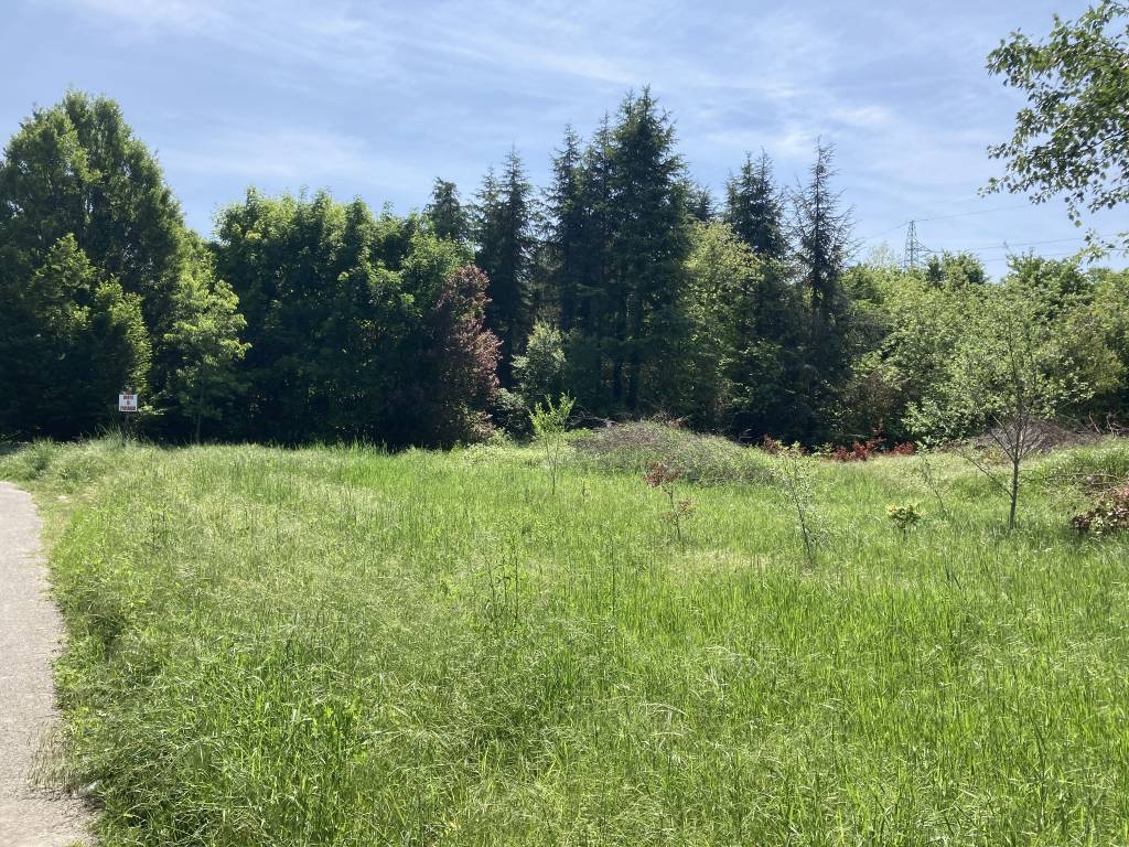 Terreno a Alessandria in Via Italia - Foto 3