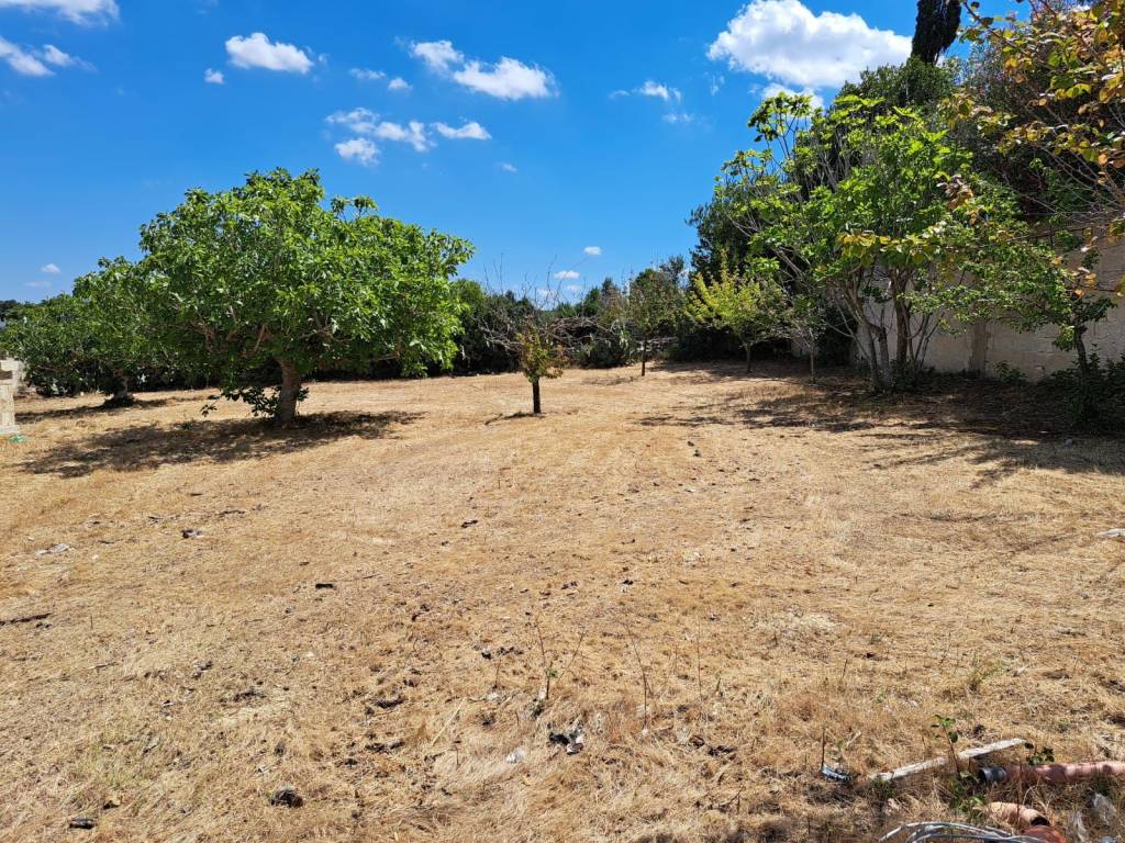 Terreno a Nardò in Via Lissandri, 29 - Foto 2