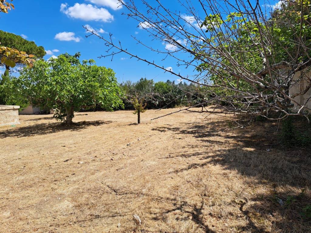 Terreno a Nardò in Via Lissandri, 29 - Foto 4