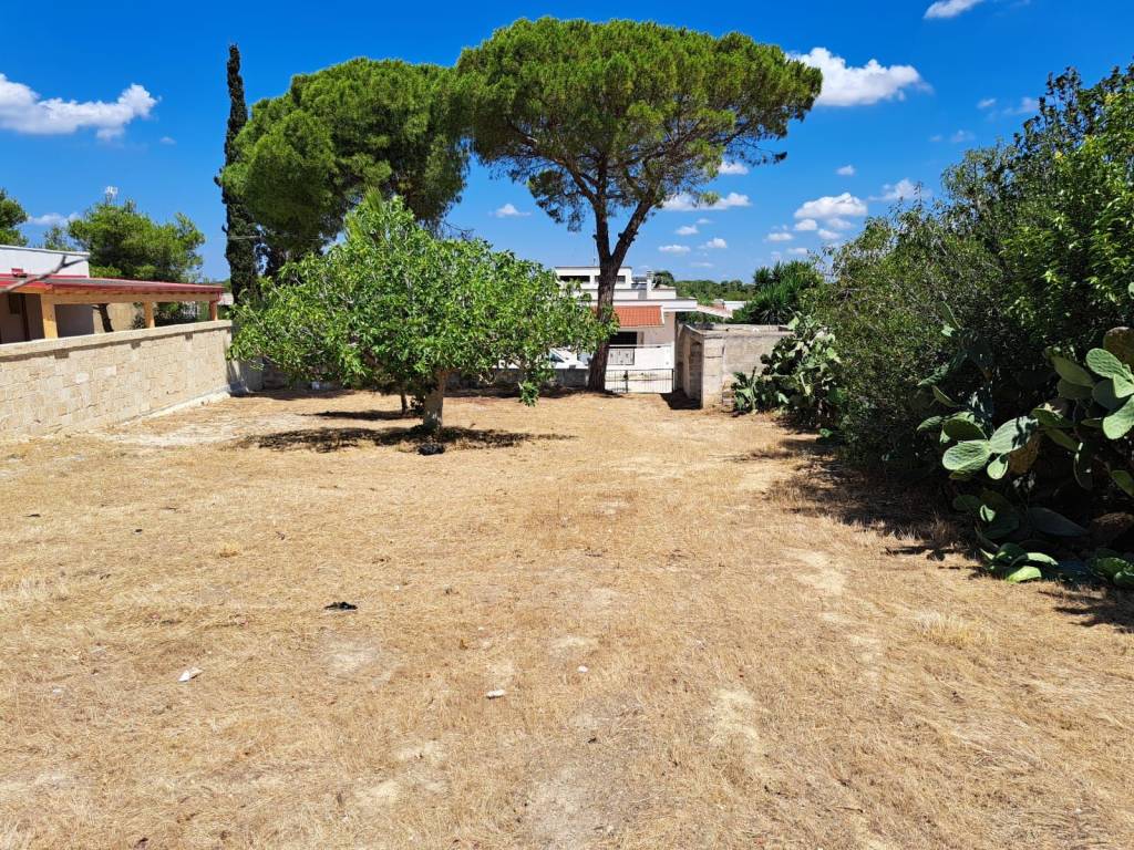 Terreno a Nardò in Via Lissandri, 29 - Foto 5