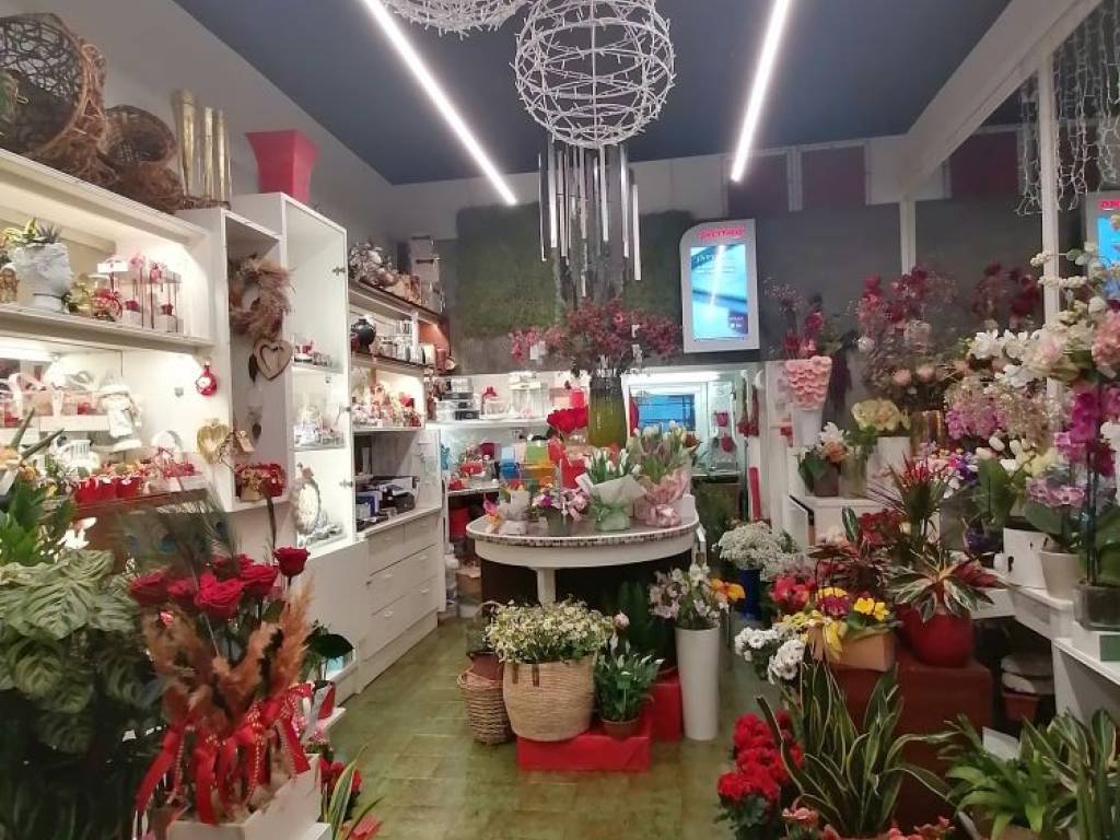 Immobile a Jesi in Viale della Vittoria - Foto 2