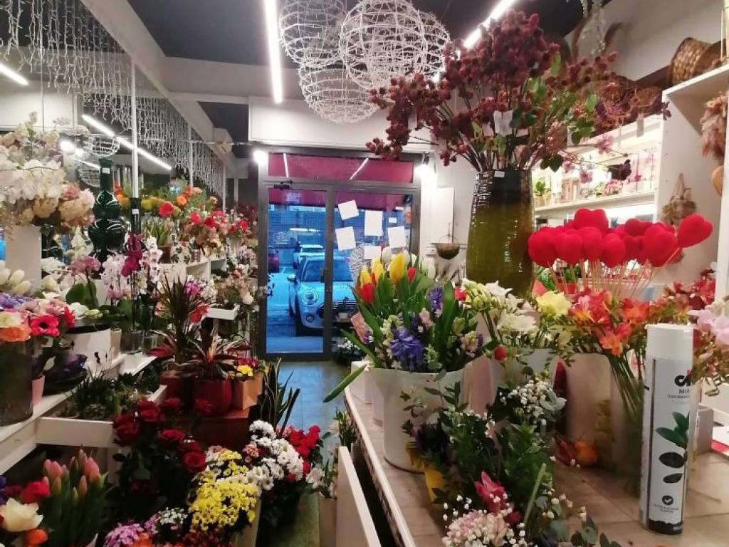 Immobile a Jesi in Viale della Vittoria - Foto 5