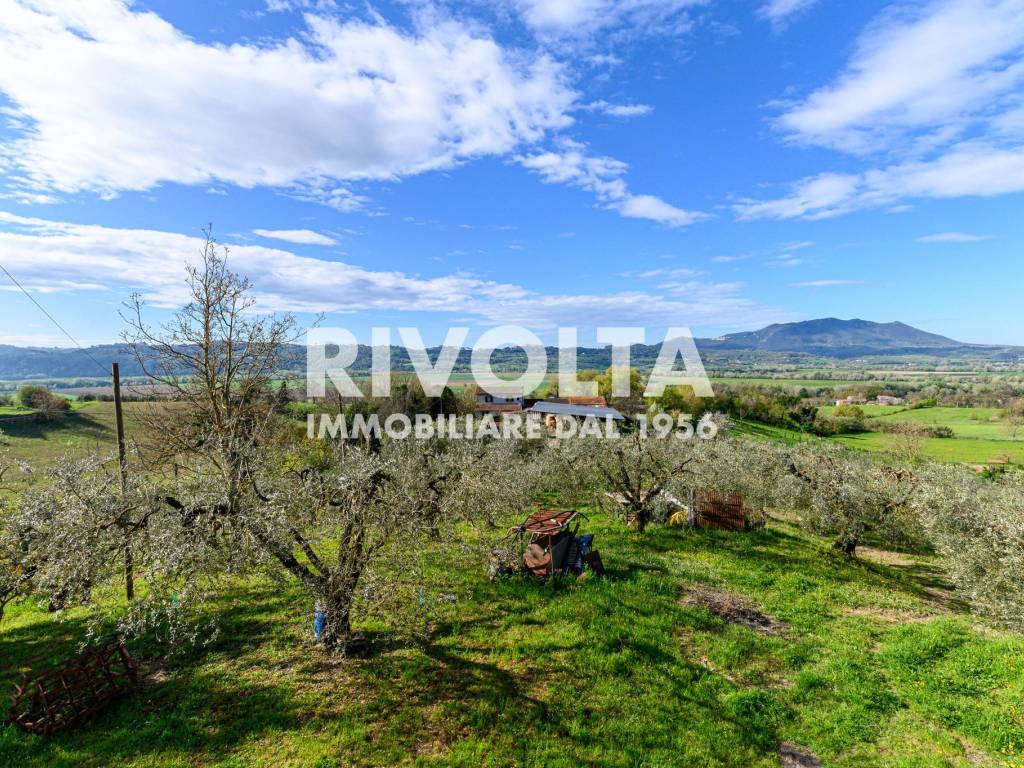 Villa a Forano in Via Roma - Foto 2