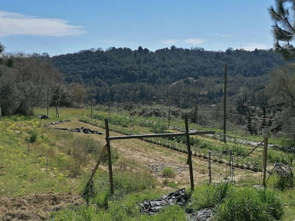 Rustico / casale a Cupra marittima in Contrada Sant'Egidio - Foto 2