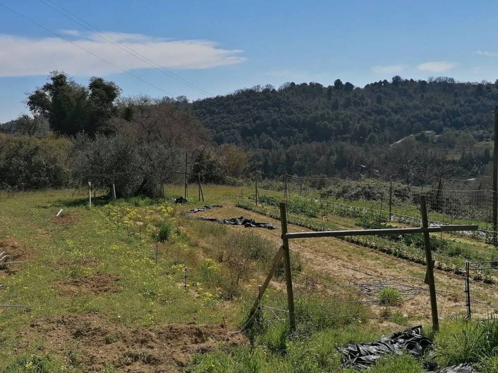 Rustico / casale a Cupra marittima in Contrada Sant'Egidio - Foto 5