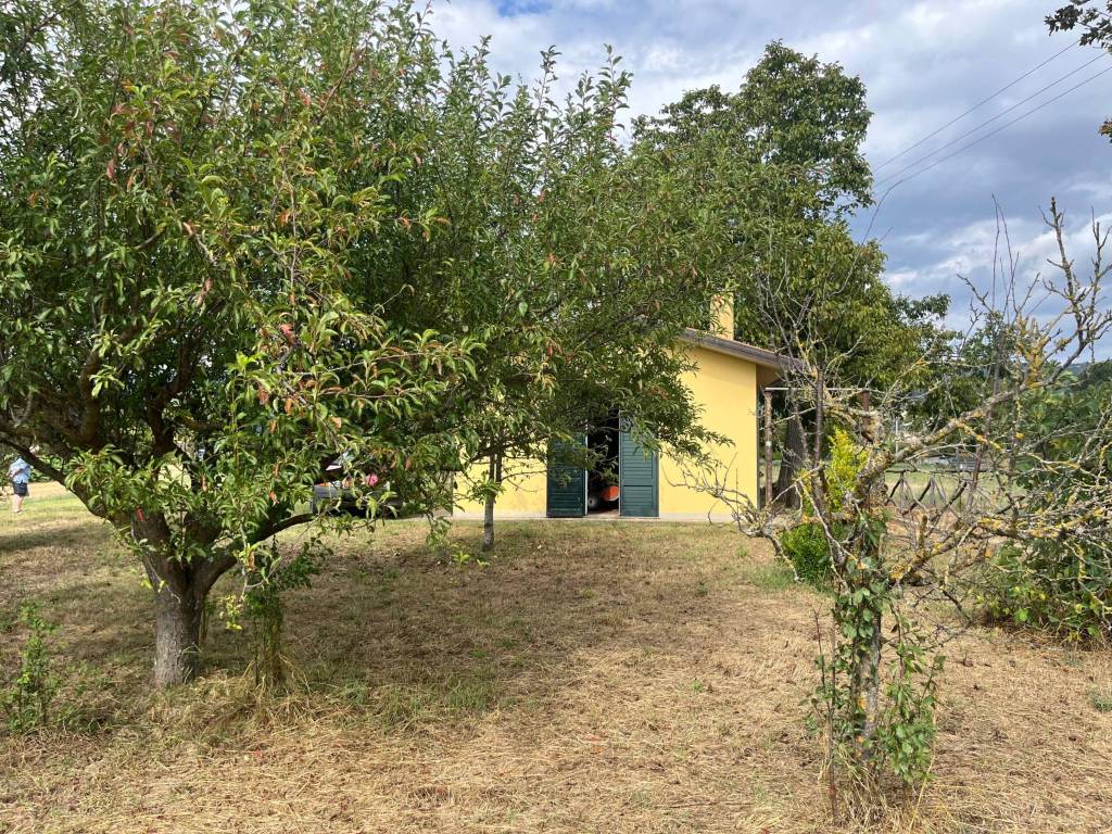 Terreno a Sansepolcro in Via Anthony Clarke - Foto 2