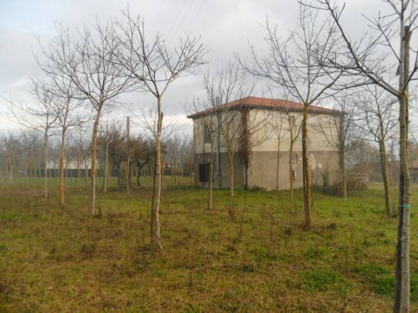 Villa a Gesualdo in contrada capo di gaudio - Foto 2