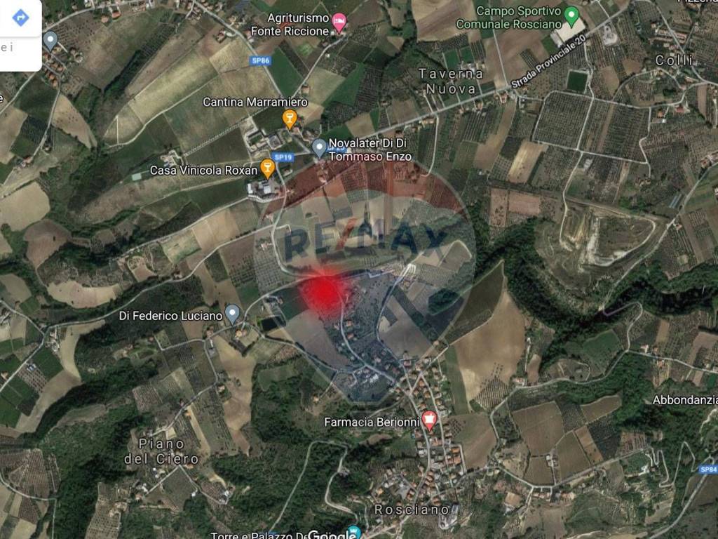 immagine di copertina