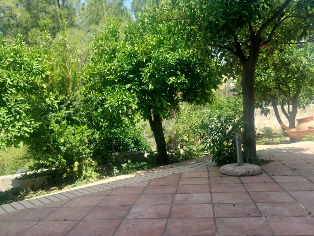 Casa indipendente a Noto in Via Tommaso Fazello - Foto 2
