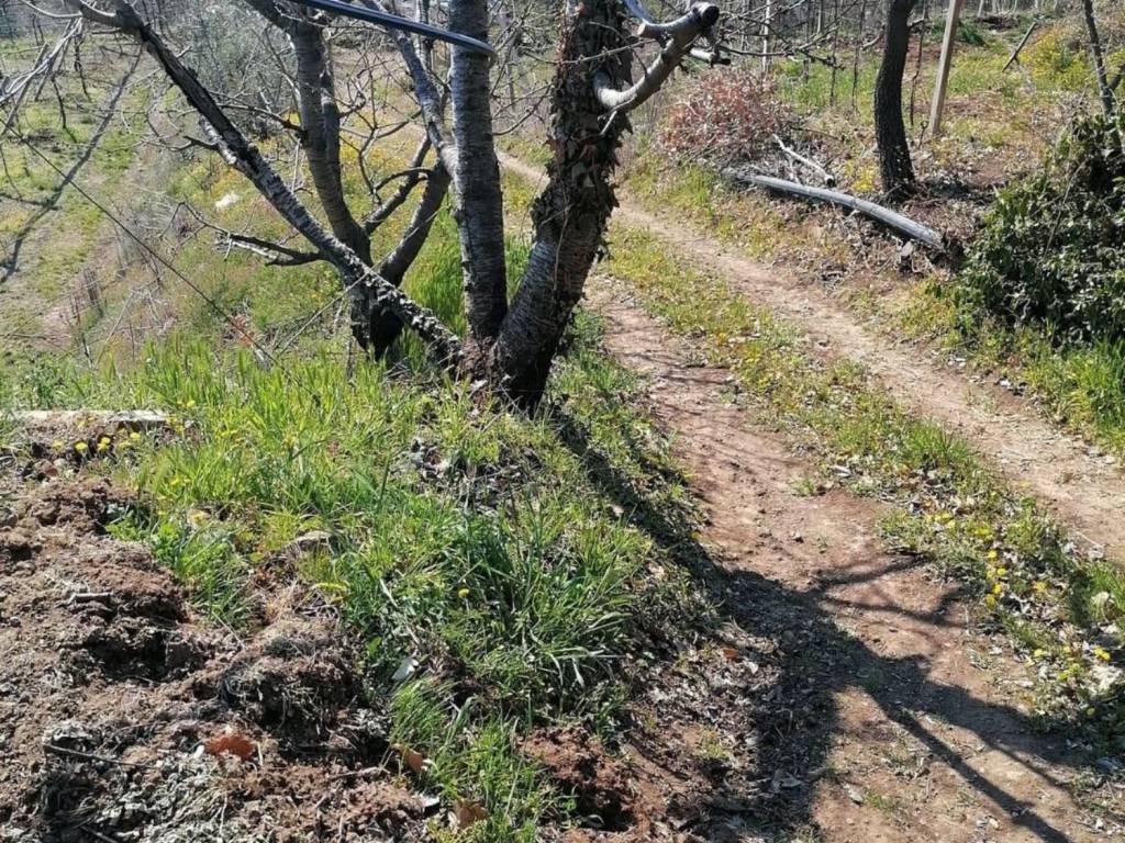 Terreno a Soave in Via Foscarino - Foto 5