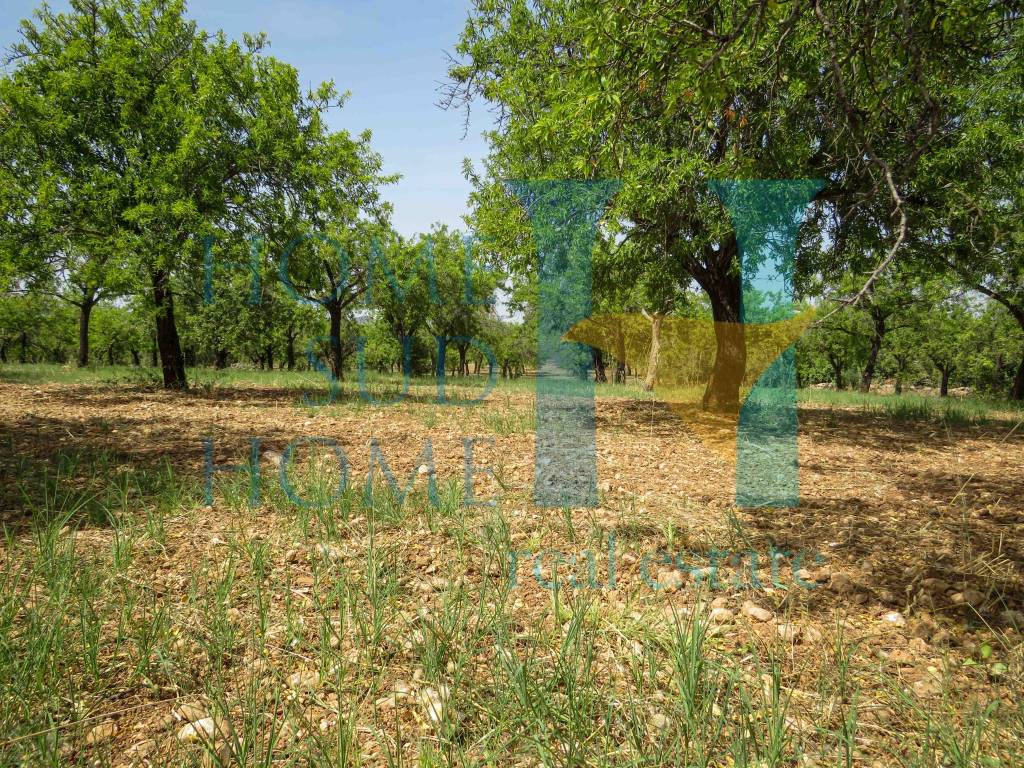 Terreno a Noto in Via Tommaso Fazello, 228 - Foto 2