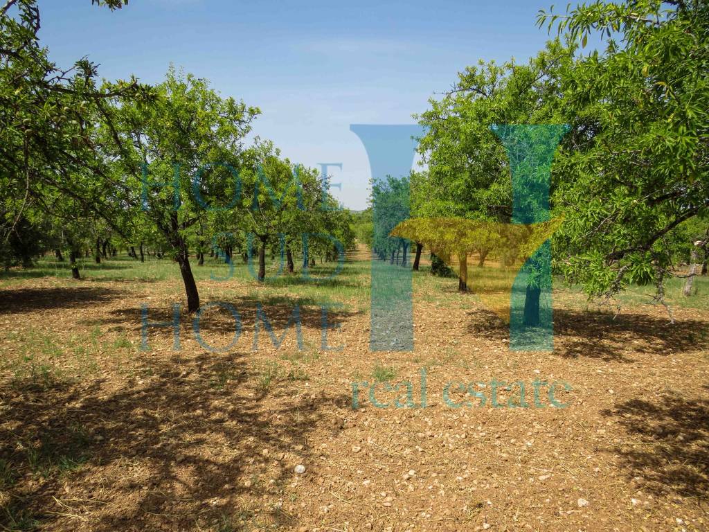 Terreno a Noto in Via Tommaso Fazello, 228 - Foto 4