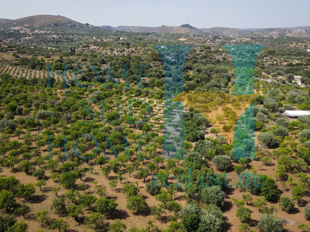 Terreno a Noto in Via Tommaso Fazello, 228 - Foto 5