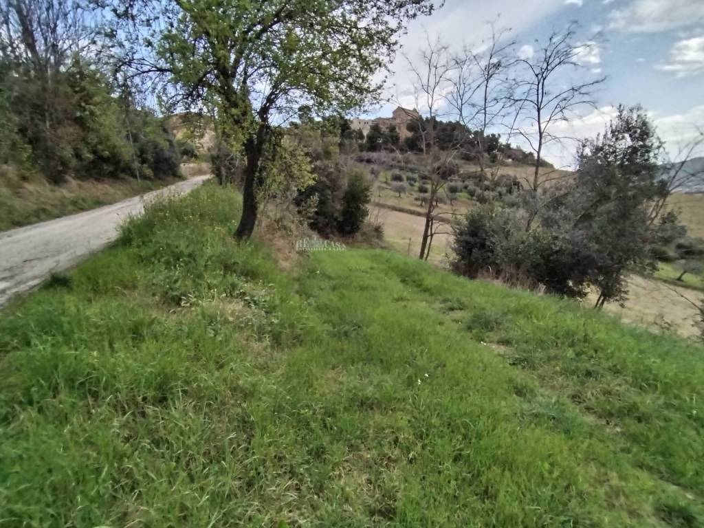 Terreno a Monteprandone in via borgo da mare - Foto 5