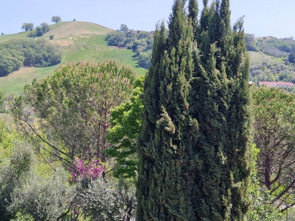 Villa a Teramo in Via Paolo Cugnini, 15 - Foto 3